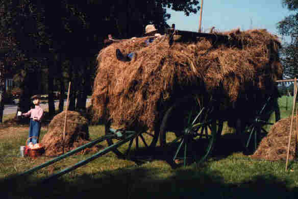 Foto 1 ( 18,3 KB )