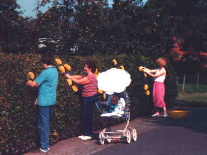 Foto 12 ( 13,4 KB )