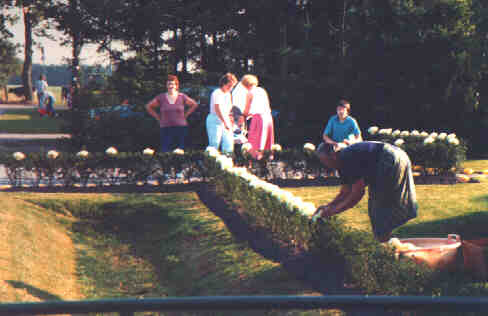 Foto 13 ( 16,4 KB )