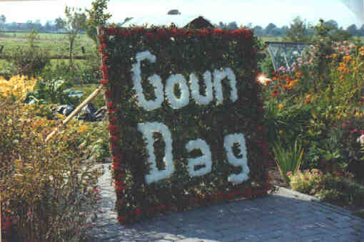 Foto 17 ( 20,5 KB )