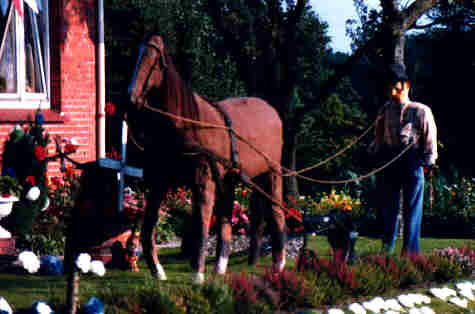 Foto 7 ( 15,6 KB )