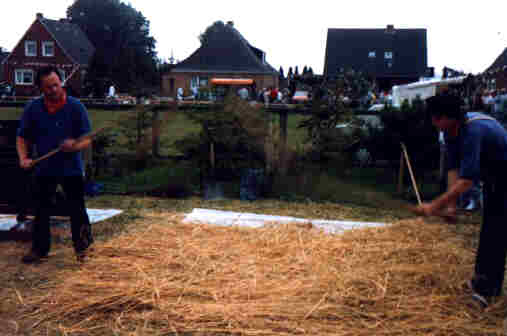 Foto 9 ( 13,7 KB )