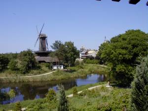 Foto 11 ( 12,4 KB )
