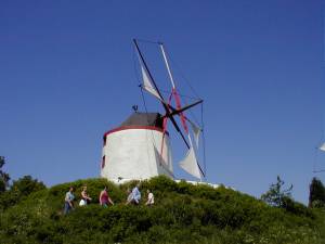 Foto 12 ( 8,16 KB )