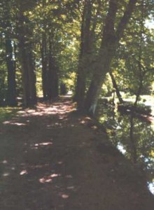 Foto 3 ( 18 KB )
