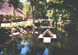 Foto 2 ( 22,1 KB )