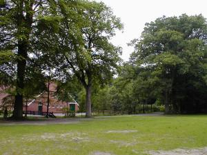 Foto 6 ( 17,4 KB )