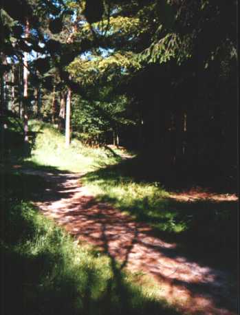 Foto 12 ( 19,8 KB )