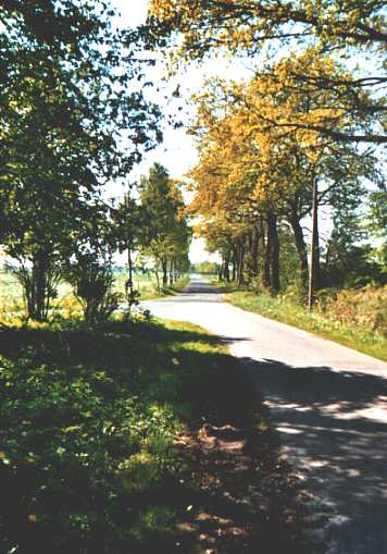 Foto 3 ( 36,6 KB )