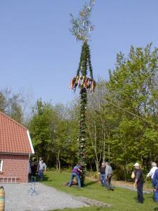 Foto 11 ( 13,4 KB )