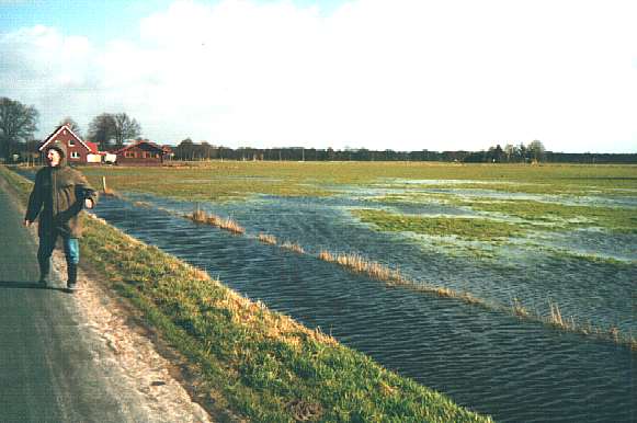 Foto 1 ( 30,9 KB )
