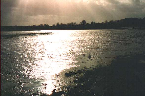 Foto 3 ( 31,3 KB )