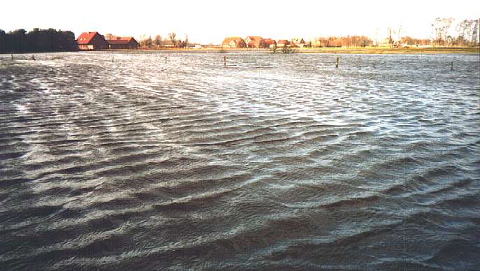 Foto 4 ( 45,6 KB )