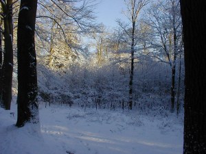Foto 3 ( 23,1 KB )