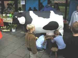Foto 3 ( 11,3 KB )