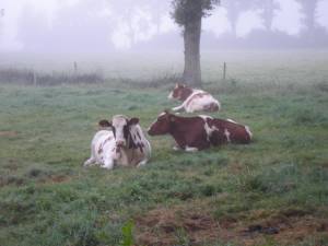 Foto 2 ( 9,49 KB )