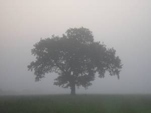 Foto 3 ( 4,82 KB )