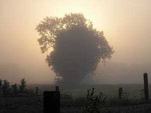 Foto 4 ( 5,84 KB )