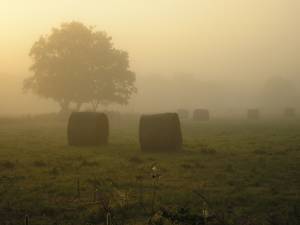 Foto 5 ( 5,47 KB )