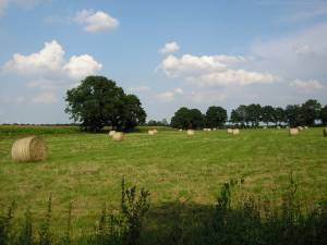 Foto 10 ( 10,3 KB )