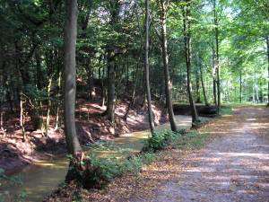 Foto 11 ( 20,4 KB )