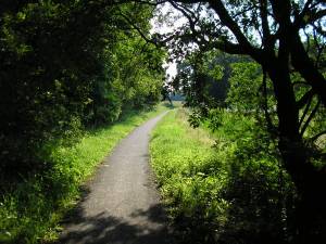Foto 14 ( 17,5 KB )