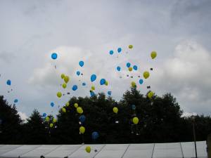 Foto 7 ( 8,44 KB )
