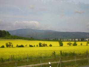 Foto 1 ( 8,4 KB )