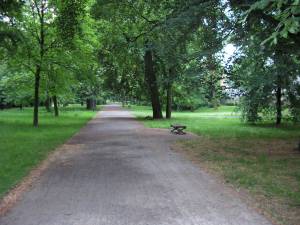 Foto 6 ( 14,6 KB )