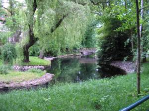 Foto 7 ( 18,5 KB )