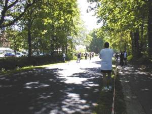 Foto 1 ( 12,5 KB )