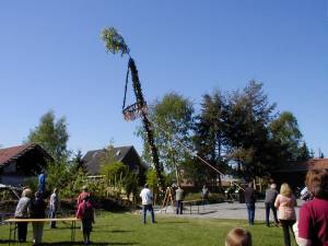 Foto 9 ( 12,2 KB )