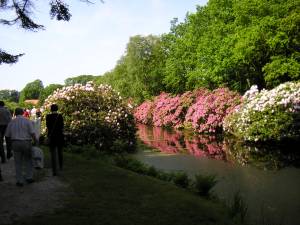 Foto 21