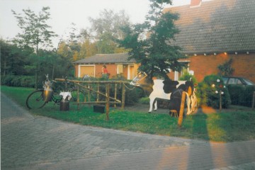 Foto 6